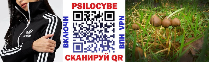 Купить  Рыльск  Галлюциногенные грибы мухоморы 